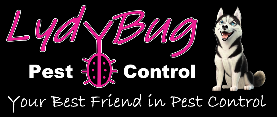 Pest Control Orlando Fl Lydybug