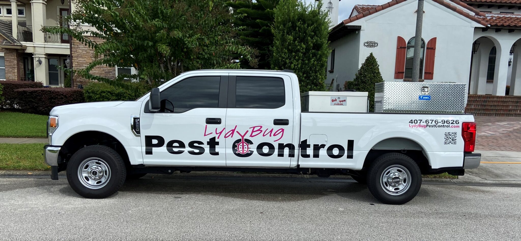 Termite Control Orlando FL | LydyBug Pest Control