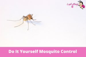 Do It Yourself Mosquito Control