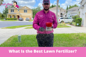 What Is the Best Lawn Fertilizer