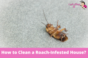 How to Clean a Roach-Infested House