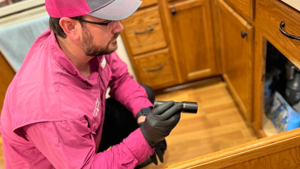 Professional Commercial Pest Control