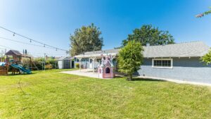 Lee Vista backyard treated for pests