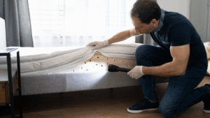Bed bug exterminator treating an Orlando FL bedroom infestation