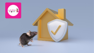 Rodent entry point being sealed along wall of Orlando townhome