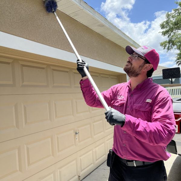 LydyBug Pest Control in Sanford FL